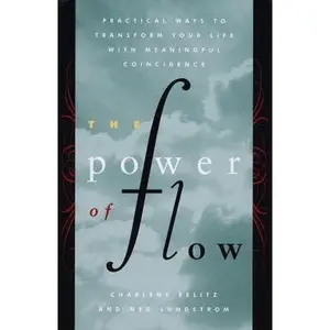 USED-The Power of Flow: Practical Ways to Transform Your Life with Meaningful Coincidence by Meg Lundstrom (Hardcover)