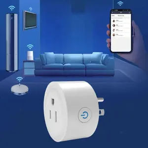 16A Smart Plug