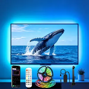 16.4FT gaming lights, Atmosphere light, TV LED lights, USB LED light strips, TV LED backlight, with wireless remote control, color synchronization, with AR color sensor, smart 5050RGB + IC, app control, Mother's Day, Father's Day gifts