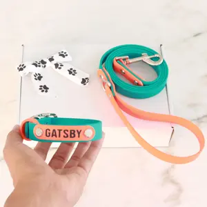 Leash and Collar set-Custom name-Waterproof Biothane®-Matching Dog Gear for outdoor adventures-Beach Accesories