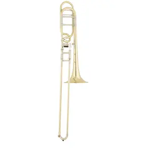 S.E. Shires Q Series Large Bore Tenor Trombone w/Rotary Valve (TBQ30YR)