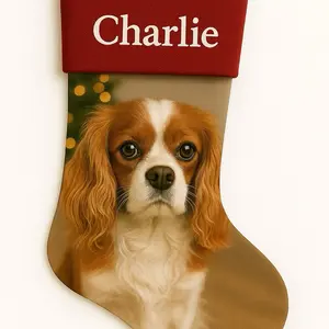 MerrySox Custom Cranberry Red Christmas Stocking - Personalized Photo Stocking with Embroidered Name - Soft Plush Fabric - Perfect Gift for Family & Pets