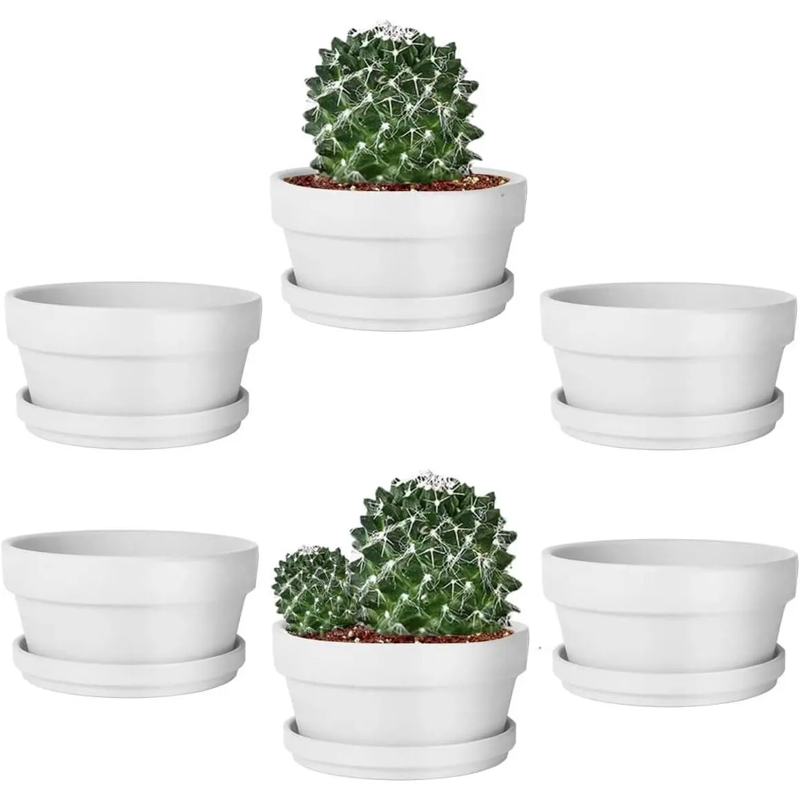 5.7 Inch White Terracotta Shallow Succulent Pots - 6 Pack Terra Cotta Clay Pot with , Cacuts Indoor and Outdoor Planters with Drainage Hole