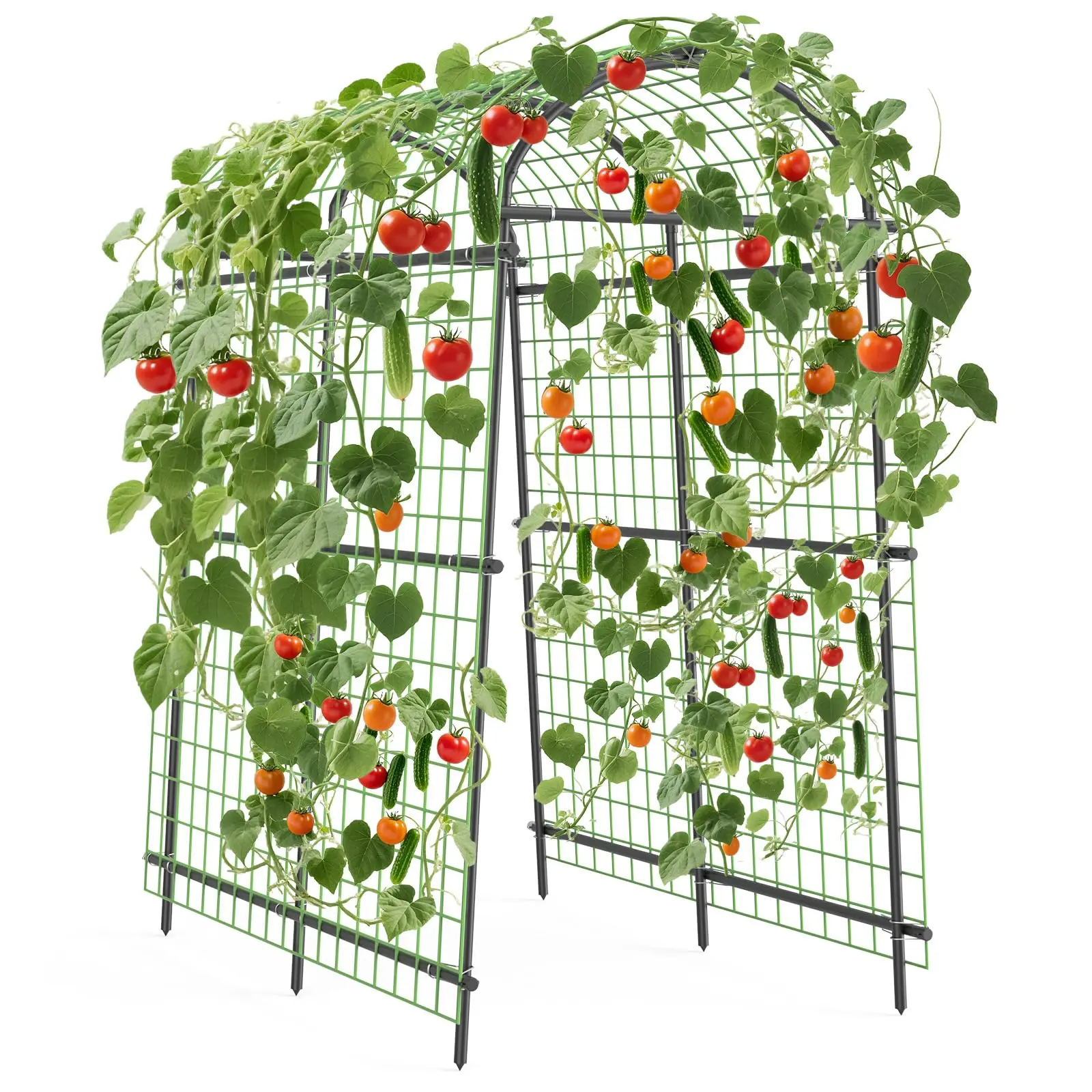 7.5FT Metal Garden Arch Trellis with Netting,7 Horizontal Pipe Adjustable 35"–45" Arbor for Climbing Plants, Roses, Grapes & Vegetables, Weatherproof Steel Pergola with Ground Clips, Easy Fold-Out Assembly