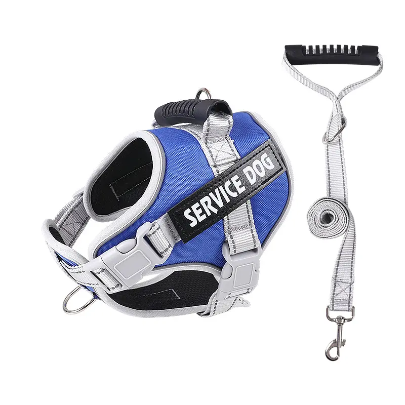 Blue [Harness + Leash]