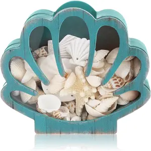 Seashell Holder Seashell Display Box Wooden Small Starfish Shell Display Case with Acrylic Clear Window Shark Tooth Collection Box for Shells Sea Rock Home Decor Present(Green,Shell)