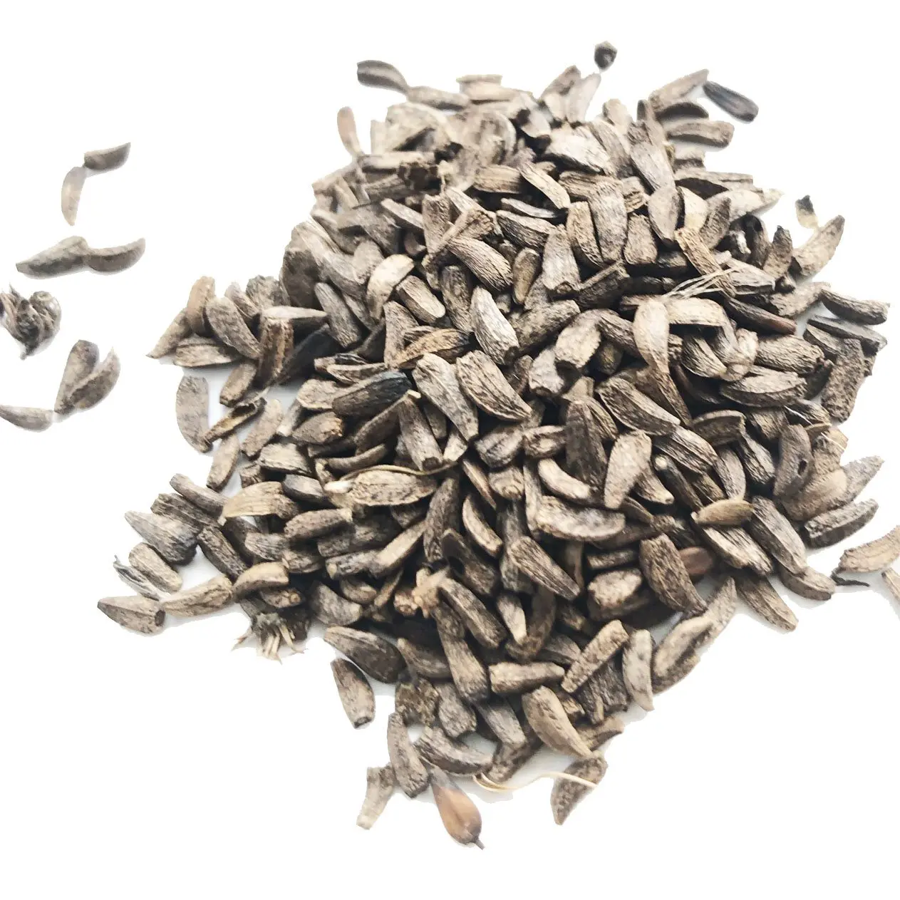 Burdock Seeds (Arctium lappa) 100 Seeds (1 grams) - Organic