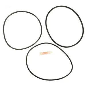 212 MAIN Alakit APCK1122 O-Ring Replacement Set - Compatible with Sta-Rite PTM70, PTM100, In-Ground Fit Aquatic Fitness Equipment Accessory
