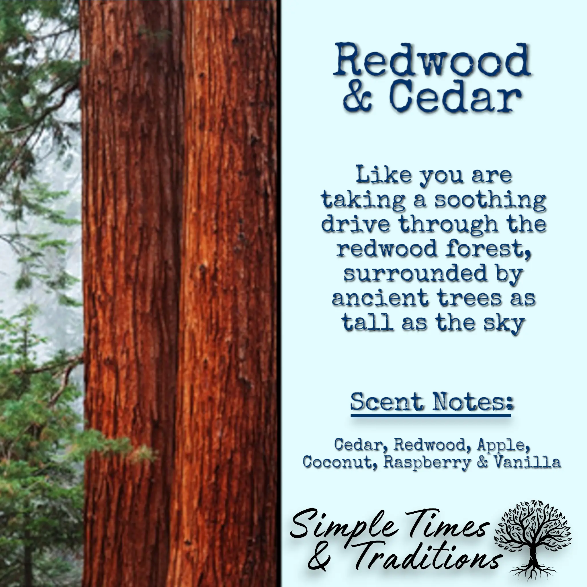 Redwood & Cedar