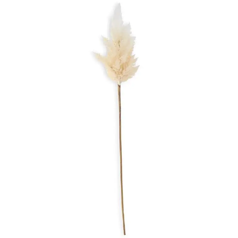 Flocked Pampas Grass Stem