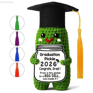 Handmade Crochet Pickle Plush Doll, Emotional Support Keepsake Ornament, Cute Knitted Stuffed Figure Gift for Friends Teachers Graduation & Craft Collection