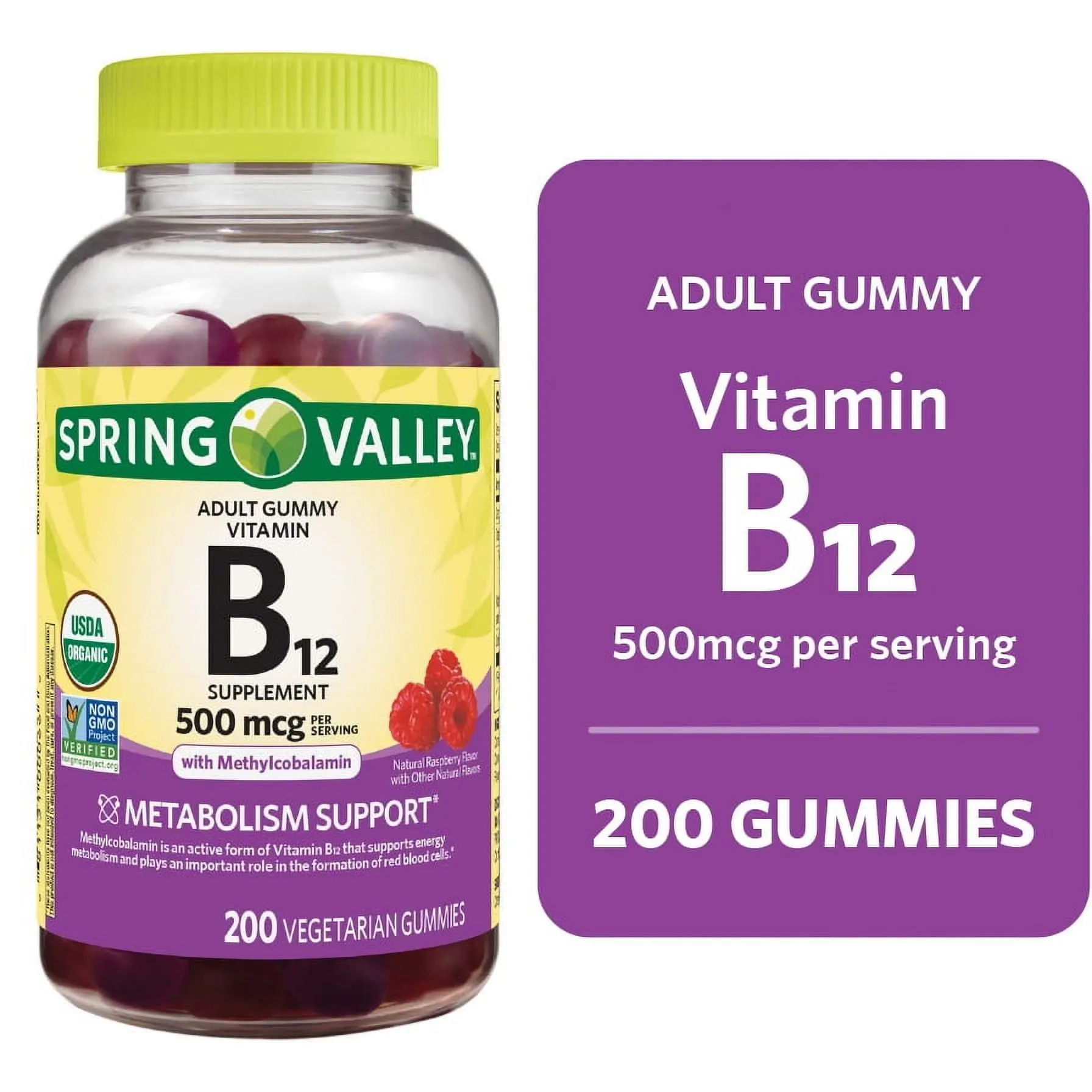 Spring Valley Vitamin B12 Vegetarian Gummies – 500mcg, Raspberry Flavor – Energy & Metabolism Support, Healthcare Supplement