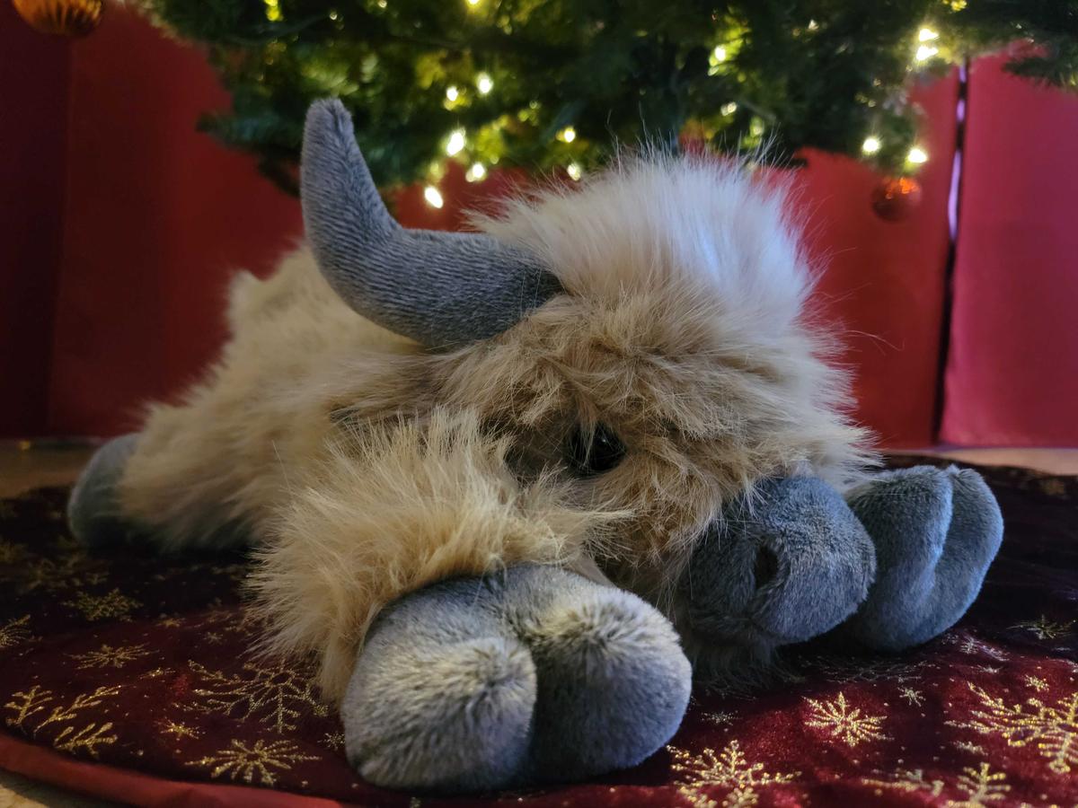 Item: Highland Cow, 20" | 4 Pounds