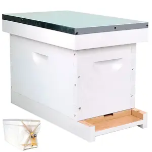 BeeTech 5 Frame Langstroth Nuc Beehive Kit with Mesh Transport Bag Hand Painted Bee Hive Nuc Box Includes Beehive Frames and Beewax Foundations Honey