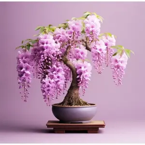 10Pcs Wisteria tree bonsai seeds, plant seeds to be planted, climbing plants, perennial flower seeds, vegetable seeds, fruit seeds, suitable for home outdoor garden planting