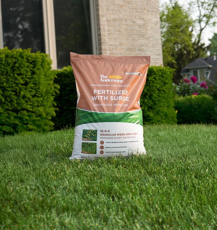 The Andersons  Surge Professional-Grade Weed & Feed 16-0-9
