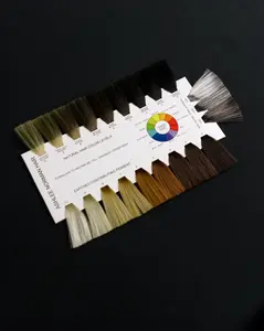 Hair Coloring Consultation and Formulation Swatch Card - Universal Level System Chart