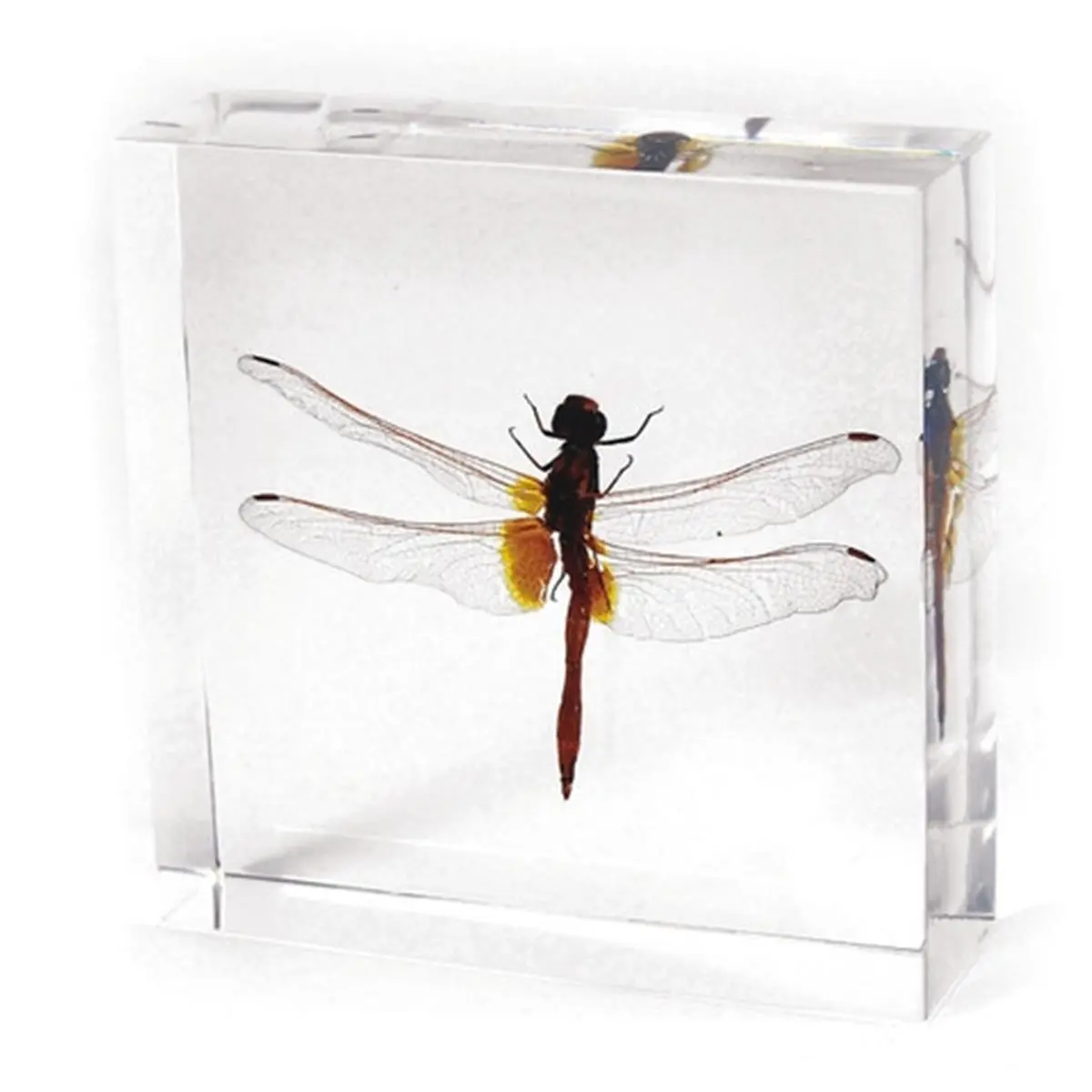 Acrylic Dragonfly Paperweight - Acrylic Decoration Figurines, Statues & Bobbleheads, Home Decor Ornament, Desktop Aesthetic Accessory
