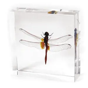 Acrylic Dragonfly Paperweight - Acrylic Decoration, Home Decor Ornament, Desktop Figurine, Aesthetic Desk Accessory