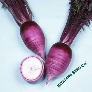 Hot Radish Seeds - Aka (Red) Karaine - Hybrid