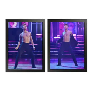 Vintage Robert Irwin DWTS Unisex Poster | Robert Irwin Fan Gift Wall Art Poster for Room Decor | Posters Gifts | No Frame