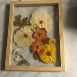 A Daisy for You Framed Dried Floral Art with Assorted Colors and Natural Wood Frame