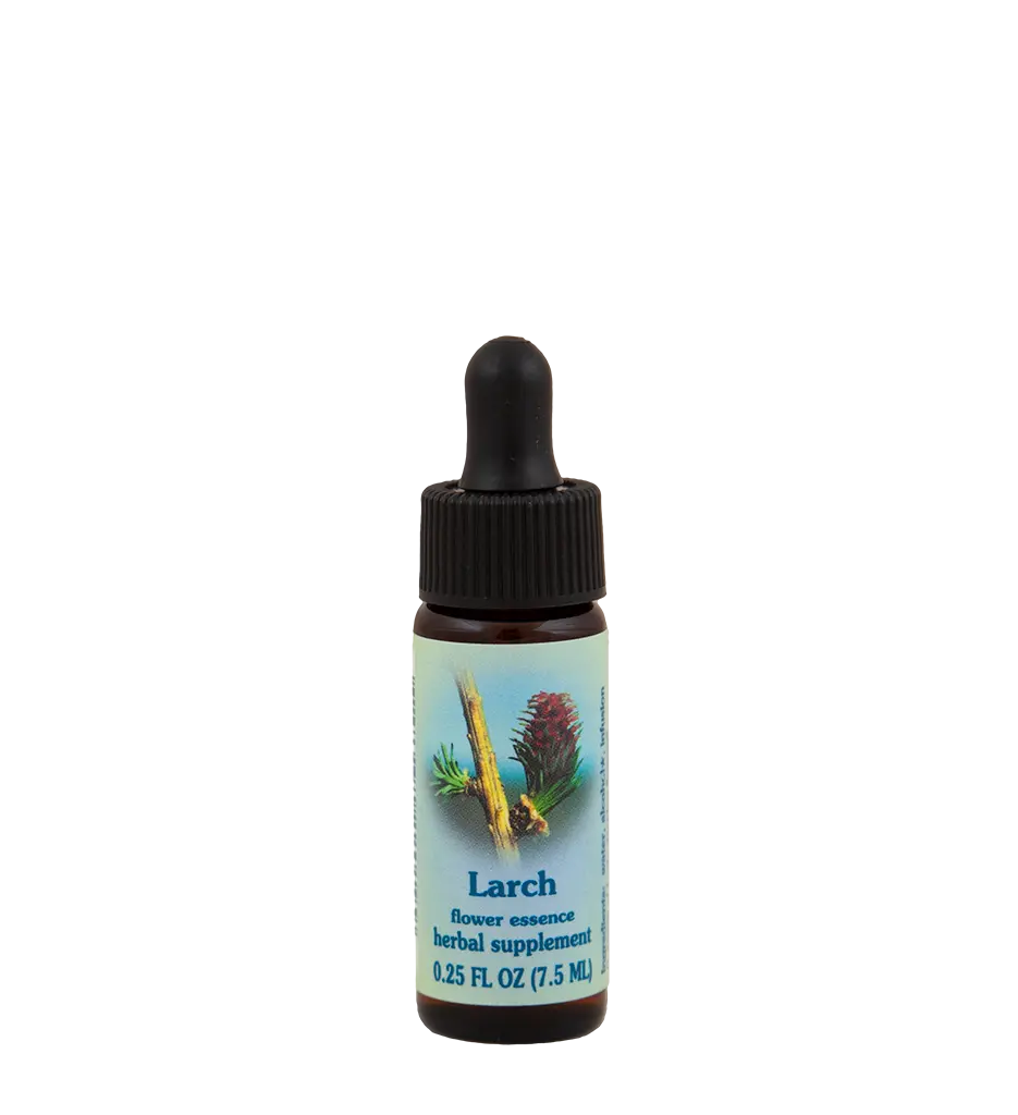 FES Larch Flower Essence - Floral Plant-Derivative Carrier, Essential Oil Aromatherapy Solution for Health & Wellness Treatment, Alternative Medication Aid, Self-Confidence Boost