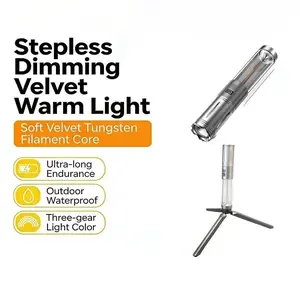 Portable Camping Light, Atmosphere Lamp, Outdoor Flashlight, Campsite Lantern, Multifunctional Tent Light, New Arrival