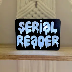 Serial Reader Light Up Book Nook