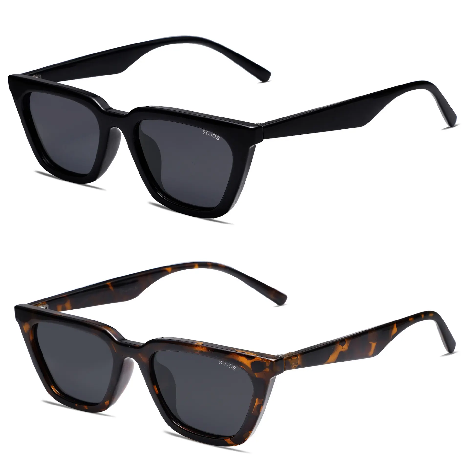 Black+Tortoise