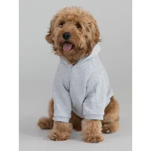 Comfrt | Coordinate Paw Hoodie Comfrt | Coordinate Paw Hoodie