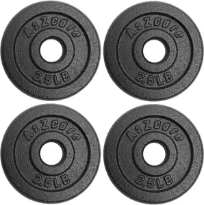 A2ZCARE Standard Cast Iron Weight Plate Set 1-Inch Center Hole for Adjustable D A2ZCare