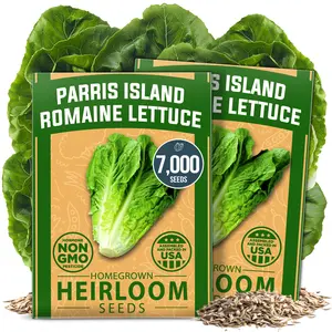 HOME GROWN Romaine Lettuce Seeds, Paris Island Bulk Pack, 7000+ Lettuce Seeds for Planting, High Germination Heirloom Non-GMO Vegetable Seeds, Works Indoor in Hydroponic Garden and Outdoor