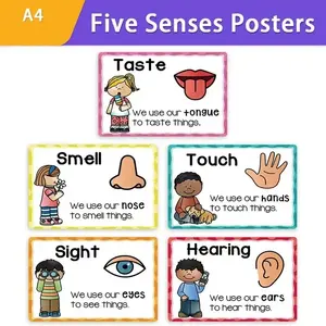 5 Piece Lachilly Educational Five Senses Posters, High-Quality Paper Wall Art, Waterproof Layer, Eco-Friendly Ink, Kindergarten Classroom Charts