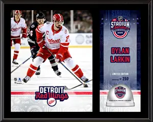 Dylan Larkin Detroit Red Wings 2025 NHL Stadium Series 12" x 15" Sublimated Plaque with Game-Used Ice - Limited Edition of 250 - Fanatics Authentic Certified