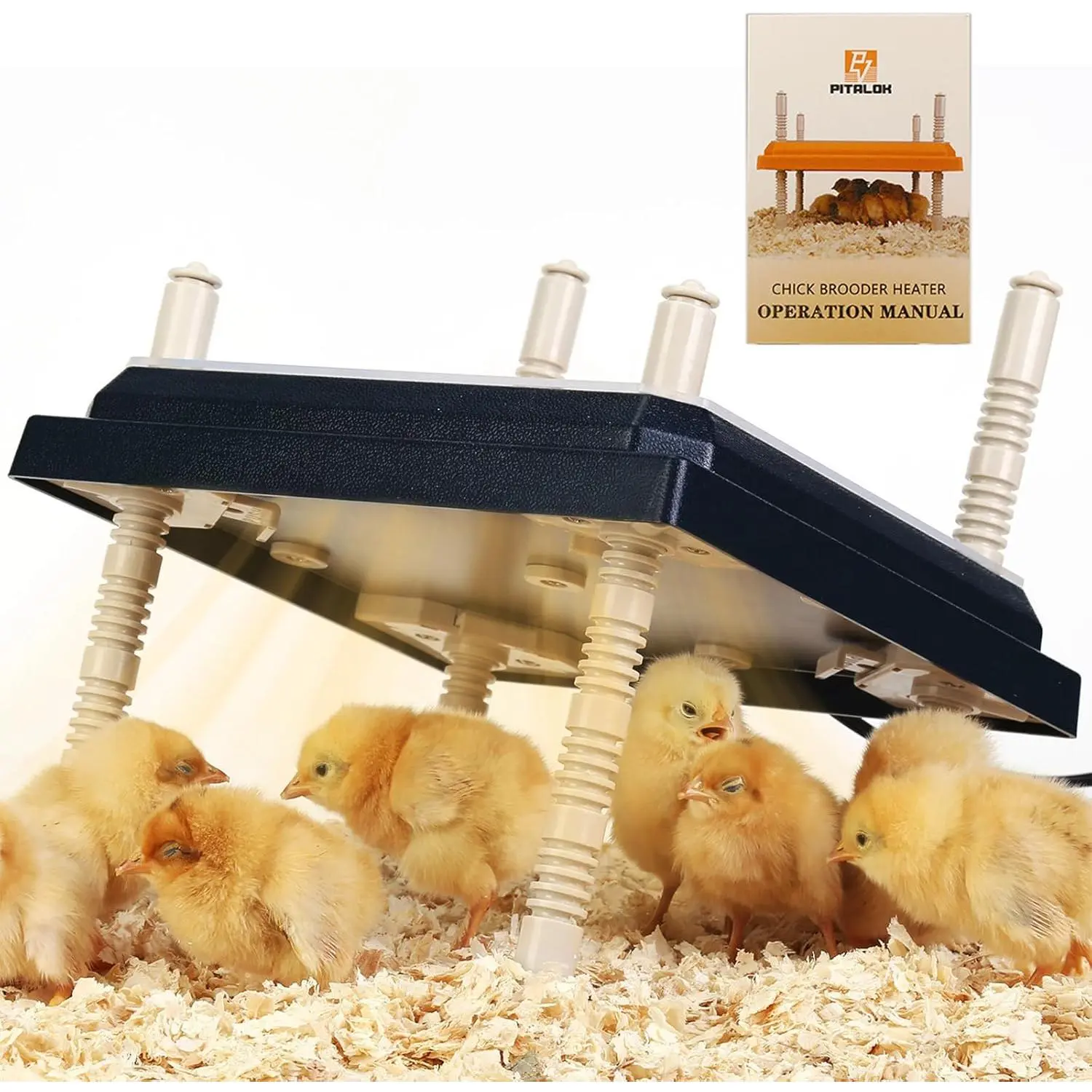 Adjustable Height 10" x 10" 15 Watts Chick Brooder Heating Plate Easy-Clean Brooder Heater Poultry Coop Warmer for Up to 15 Chicks