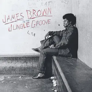 James Brown - In The Jungle Groove NEW Vinyl Record 602458264258