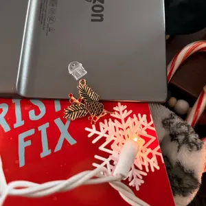 Christmas Pine Holly Kindle Dust Plug Charm - Perfect for Book Lovers