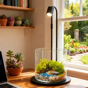 lansehaiyang  LED Terrarium Glass Jar for Succulents & Moss | 4x4 inch Mini Plant Decor | Cozy Home Office Gift #LEDLight #HomeDecor #AestheticRoom #PlantLover #DeskDecor（Small Glass Terrarium with Blue Sand）