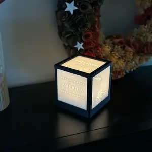 TRUMP 2024 light box