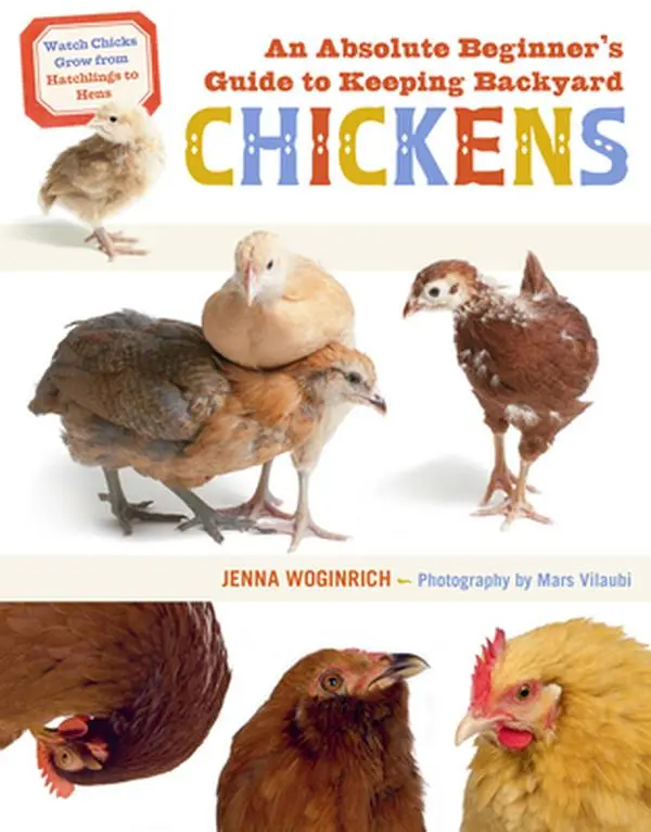 USED Book - An Absolute Beginner's Guide to Keeping Backyard Chickens: Watch Chicks Grow from Hatchlings to Hens by Woginrich, Jenna (Paperback) - english