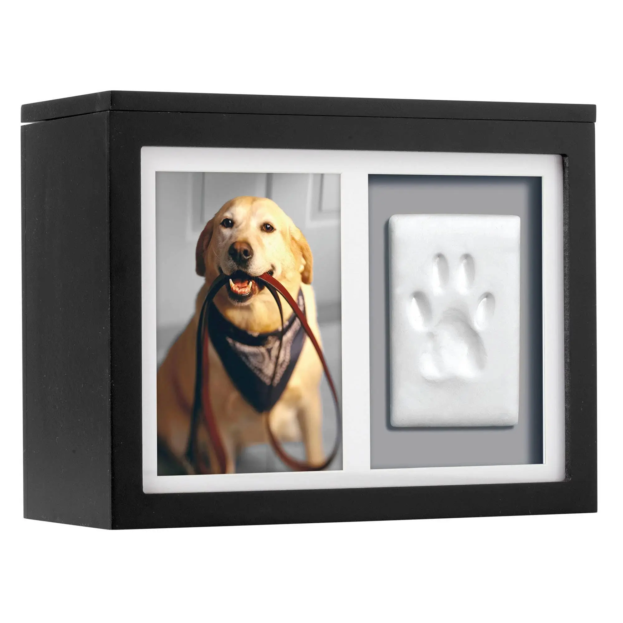 Pet Memory Box and Pawprint Impression Kit