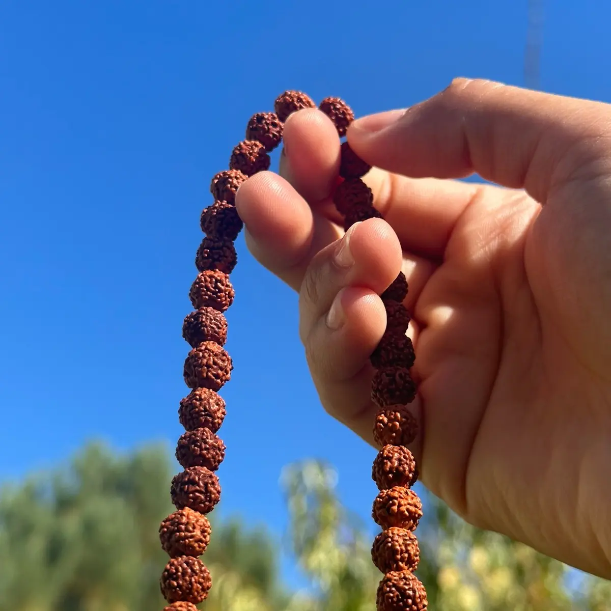 Natural Rudrasha-108 Eye of Shiva Beads Rudraksha Seeds — Bali Sacred Seeds - Healing Mala and Meditation Beads- 108 Beads Yoga meditation