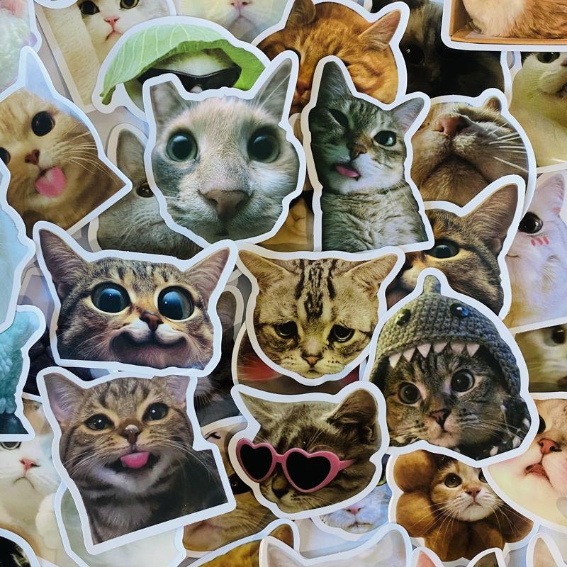 100 Pcs Meme Cat Stickers, Funny kitten stickers for Laptops Phones & Notebooks Adorable Cat Designs Cute Kitten Waterproof Stickers