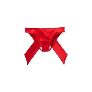 Gynger Bikini Dark Red Plus Panty