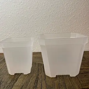 10 pieces 4” clear nursery pot