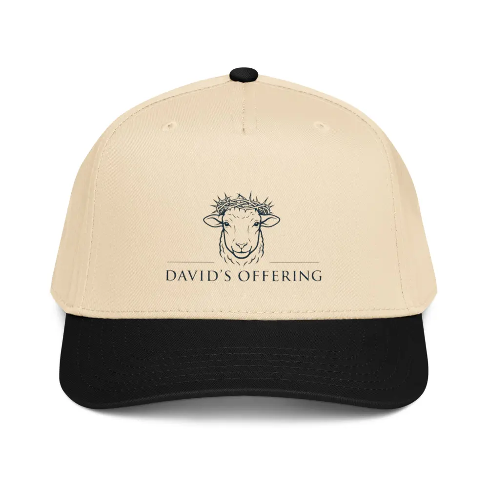 DAVID'S OFFERING Fashion Accessory Hat