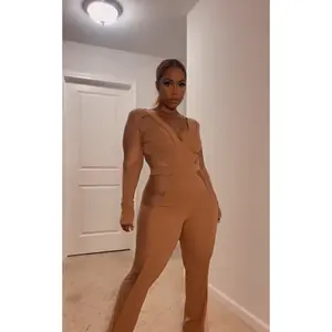 Nude Mesh Panel Jumpsuit