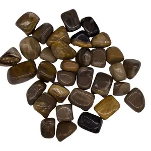1 lb Petrified Wood – Tumbled Bulk Stones