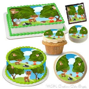 Woodland Animals Edible Cake & Dessert Toppers ~ Cute for Baby Shower / Young Childs Theme & Dessert Ideas!